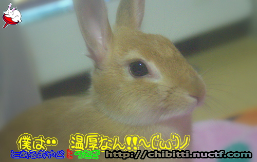画像クリックで拡大します