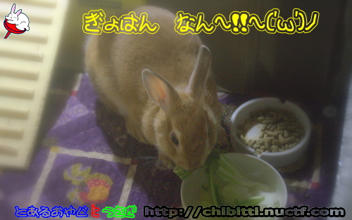 画像クリックで拡大します