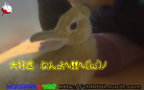 画像クリックで拡大します
