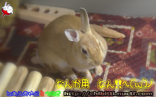 画像クリックで拡大します