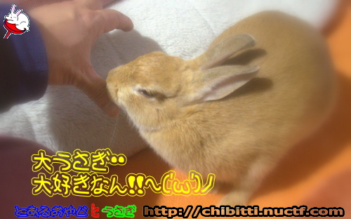 画像クリックで拡大します