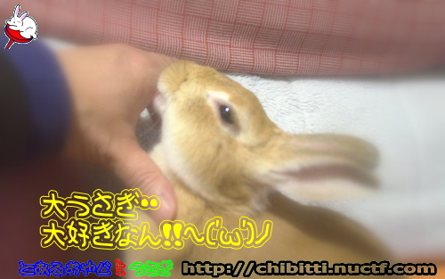 画像クリックで拡大します