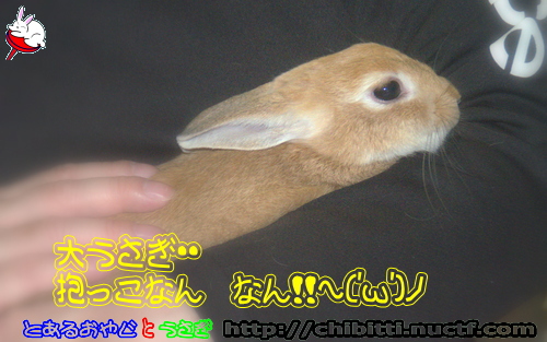 画像クリックで拡大します