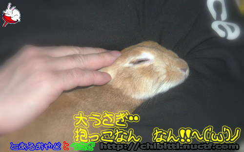 画像クリックで拡大します