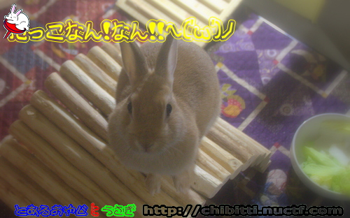 画像クリックで拡大します