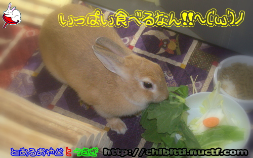 画像クリックで拡大します
