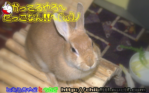 画像クリックで拡大します