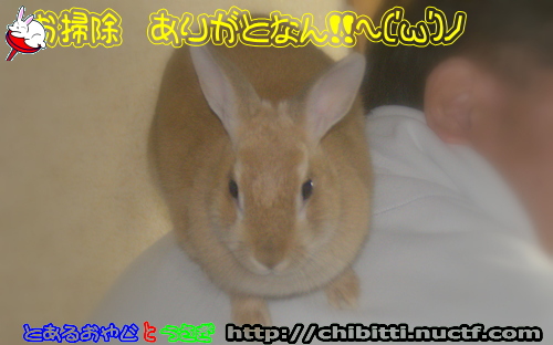 画像クリックで拡大します