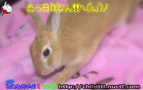 画像クリックで拡大します