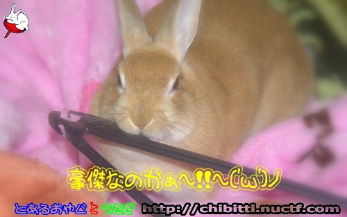画像クリックで拡大します