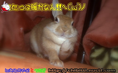 画像クリックで拡大します