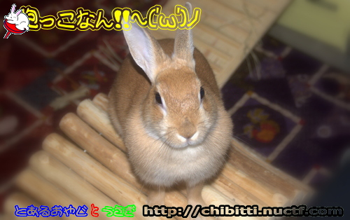 画像クリックで拡大します