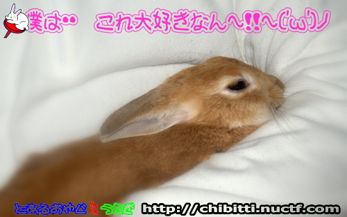 画像クリックで拡大します