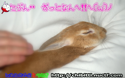 画像クリックで拡大します