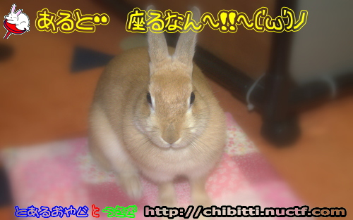 画像クリックで拡大します