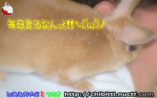 画像クリックで拡大します