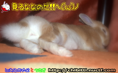 画像クリックで拡大します