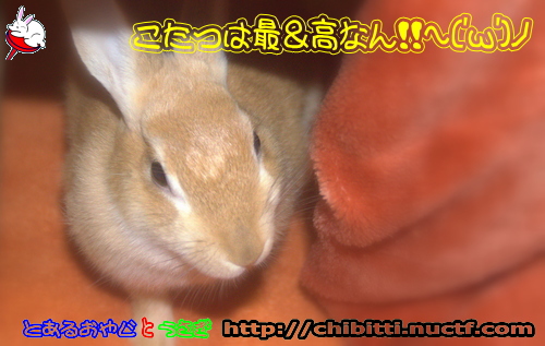 画像クリックで拡大します