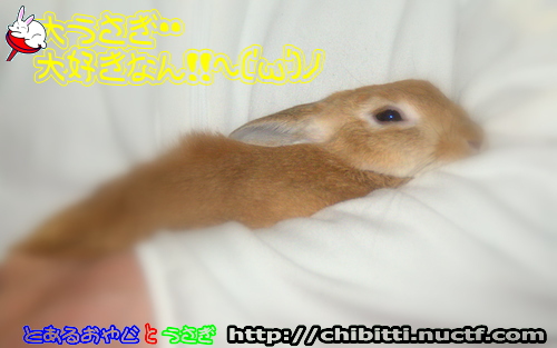 画像クリックで拡大します