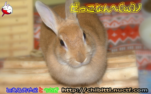 画像クリックで拡大します