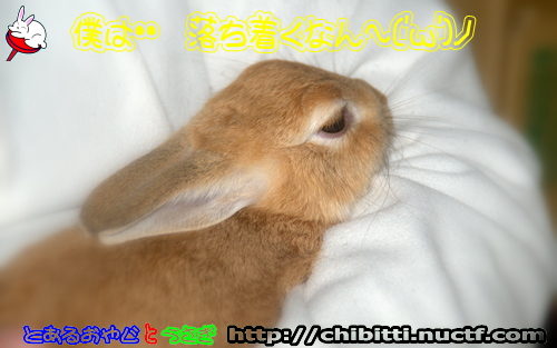 画像クリックで拡大します