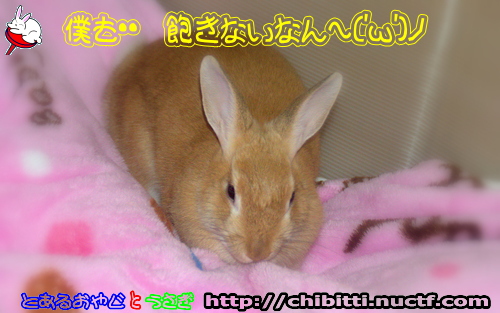 画像クリックで拡大します