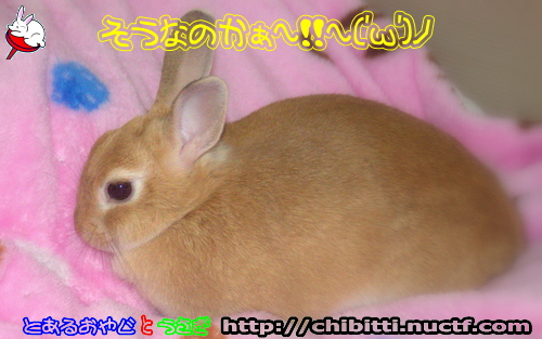 画像クリックで拡大します