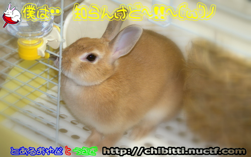 画像クリックで拡大します