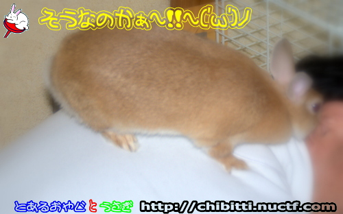 画像クリックで拡大します