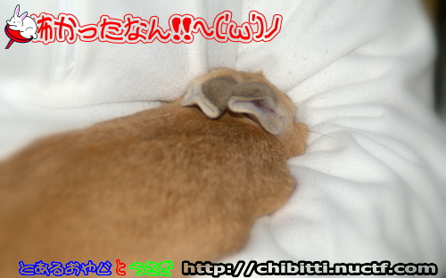 画像クリックで拡大します