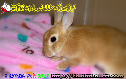 画像クリックで拡大します