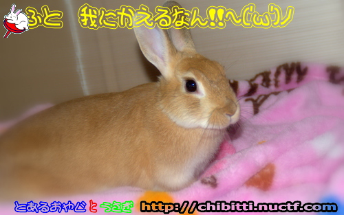 画像クリックで拡大します