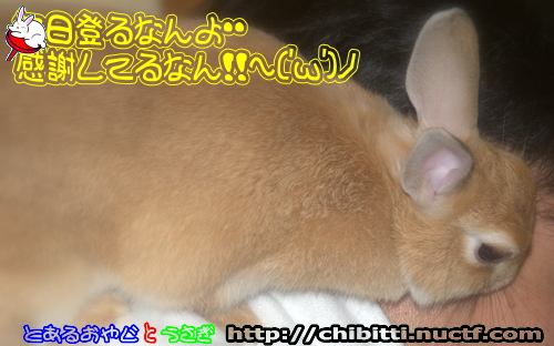 画像クリックで拡大します