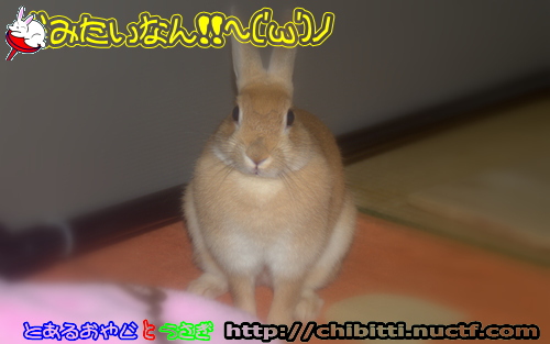 画像クリックで拡大します