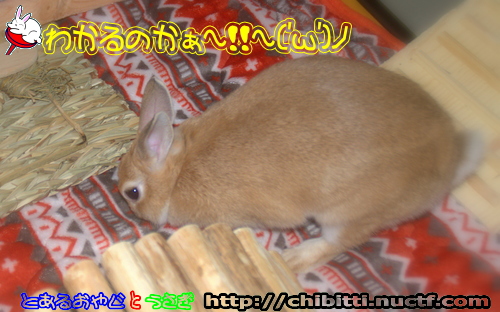 画像クリックで拡大します