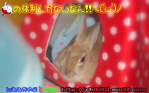 画像クリックで拡大します