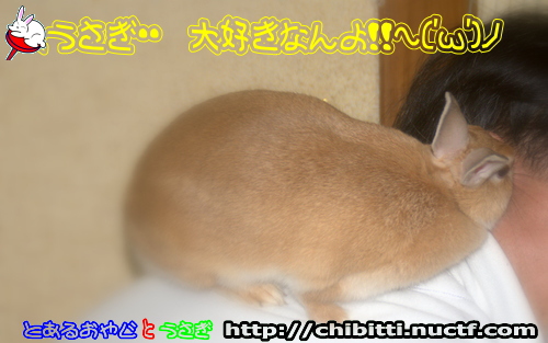 画像クリックで拡大します