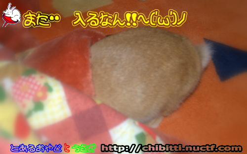 画像クリックで拡大します