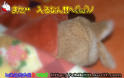 画像クリックで拡大します