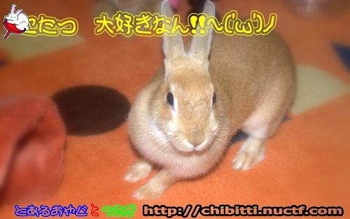 画像クリックで拡大します