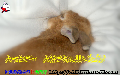 画像クリックで拡大します