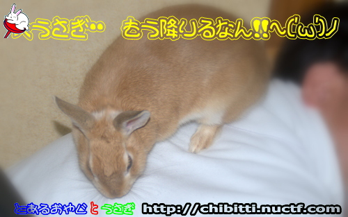 画像クリックで拡大します