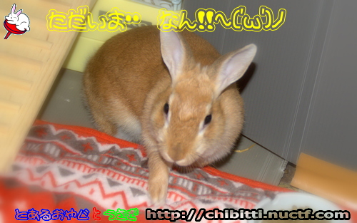 画像クリックで拡大します