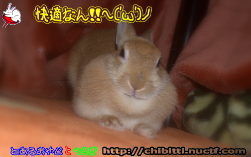 画像クリックで拡大します