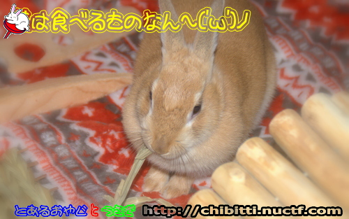 画像クリックで拡大します