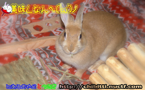 画像クリックで拡大します