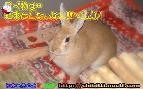 画像クリックで拡大します