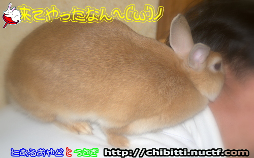 画像クリックで拡大します