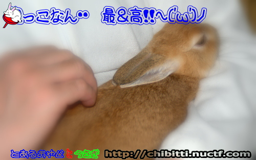 画像クリックで拡大します