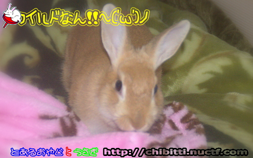 画像クリックで拡大します